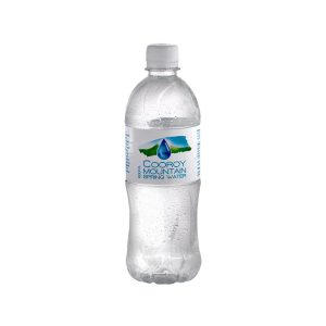 Water 24 x 600ml Flat Cap PET