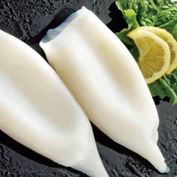 Squid Tubes U5 Gigas Tender - 5kg Origin - China