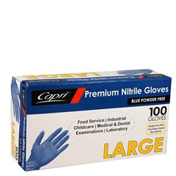 Glove Blue Vinyl Large 100s - Powder Free